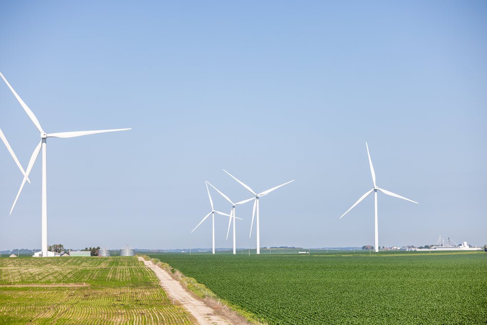 wind farm