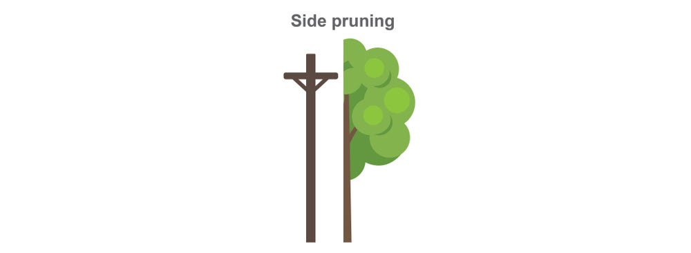 side pruning illustration